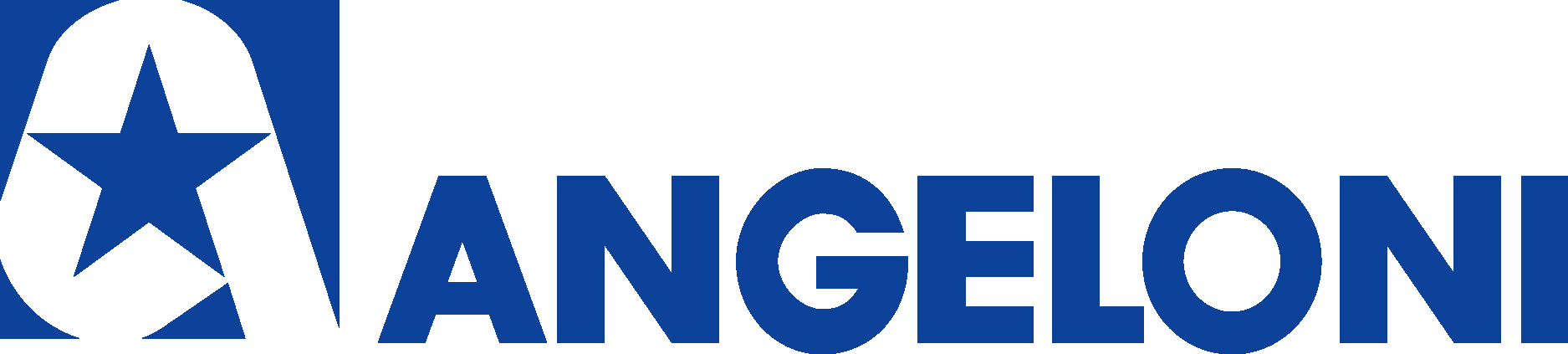 Logo Angeloni